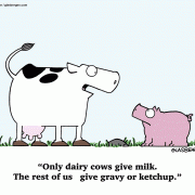 Only dairy cows give milk. The rest of us give gravy or ketchap.