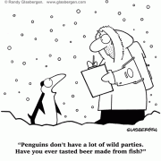 Bird Cartoons,penguin, Cartoons About birds