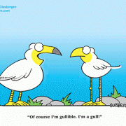 Of course I'm gullible. I'm a gull.