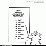 Cat Cartoons: stress management, cats, sleeping, eating