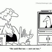 He said flat tax --- not cat tax.