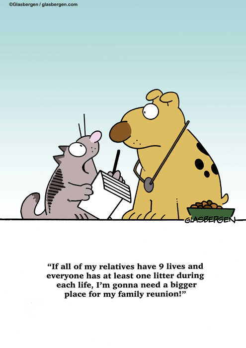 Cat Cartoons - Glasbergen Cartoon Service