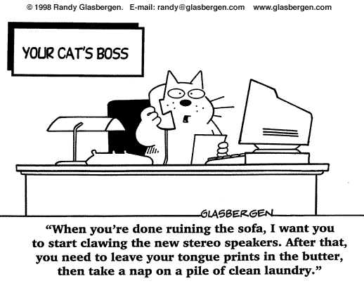 cat's boss Archives - Glasbergen Cartoon Service