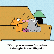 Catnip was more fun when I thought it was illegal.