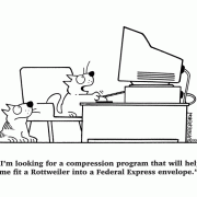 I'm looking for a compression program that will help me fit a Rottweiler into a Federal Express envelope.