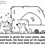 Cat Cartoons: cat exercise, cat health, feline fitness
