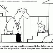 Cat Cartoons: insurance, stress relief