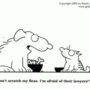Cat Cartoon: fleas, lawyers, dogs.