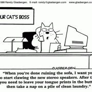 Cat Cartoons: bosses, destructive cats, napping