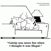 Catnip was more fun when I thought it was illegal.