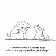I never know if I should floss after chewing my rubber pork chop.