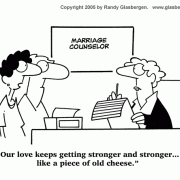 Marriage Counselor Cartoons: couples therapy, couples counseling, cartoons about marriage counseling, marriage therapy, marriage repair, old cheese.