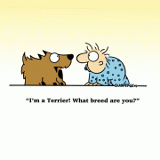 I'm a Terrier! What breed are you?