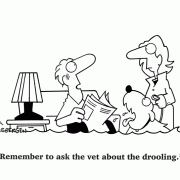 Remember to ask the vet about drooling.