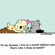 In my dreams, I live in a world without cats. That's why I sleep so much!