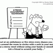Dog Cartoons: stress management techniques,