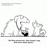 Dog Cartoons: cartoons about dogs, real estate, apartment, fleas, closet space