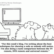 Dog Cartoons: cartoons about dogs, destructive dogs, remote control, blog, blogger, blogging