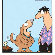 Dog Cartoons: cartoons about dogs, cardio, dog obesity, overweight dogs