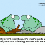 Education Cartoons: cartoons about teachers, school cartoons, classroom humor, cartoons about homework, classes, lessons, students, class assignments, learning, talking frogs, biology cartoons, biology class, biology teacher, biology lessons.