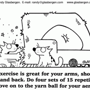 Fitness Cartoons, Exercise Cartoons: exercising, being more active, get fit, getting in shape, physical conditioning, workout, working out, training, physical fitness, exercise program, exercise routine, burning calories, get healthy, getting fit, cats, exercise for cats, cat health, cat fitness.