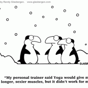 Fitness Cartoons, Exercise Cartoons: exercising, being more active, get fit, getting in shape, physical conditioning, workout, working out, training, physical fitness, exercise program, exercise routine, burning calories, get healthy, getting fit, lean muscle, longer muscles, strething, benefits of yoga, yoga, penguins, muscles.