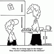 Why do we keep eggs in the fridge? They weren\'t refrigerated in the chicken!