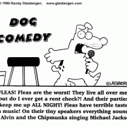 Golden Oldie Cartoons: dogs, comedy club cartoon, dog comedy, cartoon about stand-up comedy.