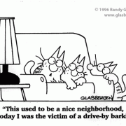 Golden Oldie Cartoons: cats, dogs, barking, bad neighborhood.