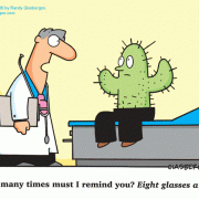 , Medical Cartoons: physician, patient, doctor's advice, funny doctor, medical humor, doctor jokes, Dr, healing, healer, healthcare, healthcare professional, medical practice, medicine, treatment, diagnosis, clinician, GP, general practitioner, medical careers, eight glasses a day, hydrate, hydration, cactus, dehydrated, dehydration, water, fluids.