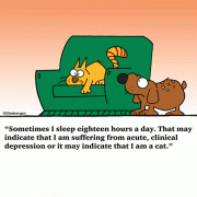 Sometimes I sleep eighteen hours a day. That may indicate that I am suffering from acute, clinical depression or it may indicate that I am a cat.