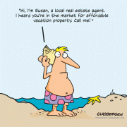 Hi, I'm Susan, a local real estate agent. I heard you're in the market for affordable vacation property. Call me!