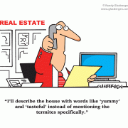 I\'ll describe the house with words like \'yummy\' and \'tasteful\' instead of mentioning the termites specifically.