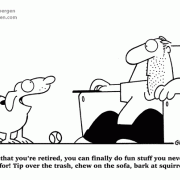 Retirement Cartoons: retirement lifestyle, what to do when you're retired, cartoons about retirement activities, retirement boredom, retirement dog, bad dog habits, retired, being retired.