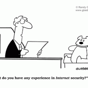 Cartoon about teddy, qualifications, experience, job interview, resumé, data security, security, encryption, encrypt, information encryption, encrypt information, data encryption, encrypt data, information security, safety, internet security, keeping, safeguard, safeguards, protect, protection, protect data, data protection, protect information, information protection, firewalls, computer, computers, information safe.