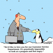 We'd like to hire you for our Customer Service Department. It's practically impossible to look at a penguin and feel angry.