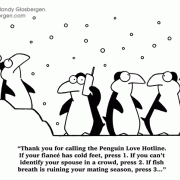 Sex Cartoons: penguins in love, cold feet, mating season.