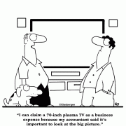 I can claim a 70-inch plasma TV as a business expense because my accountant said it's important to look at the big picture.