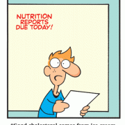 Good cholesterol comes from ice cream, cheeseburgers, and pizza. Bad cholesterol comes from tofu, broccoli and spinach, nutrition, vegetarian, fat, school, education, food, diet.